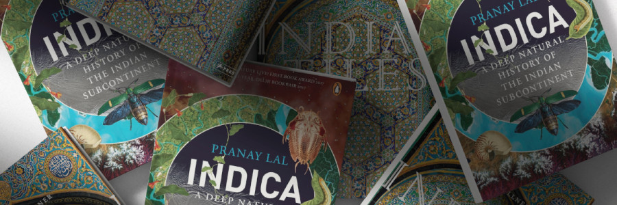 Scripted Landscapes: Reading the Region